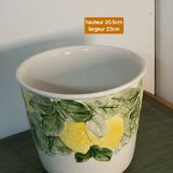 Lemon plant pot