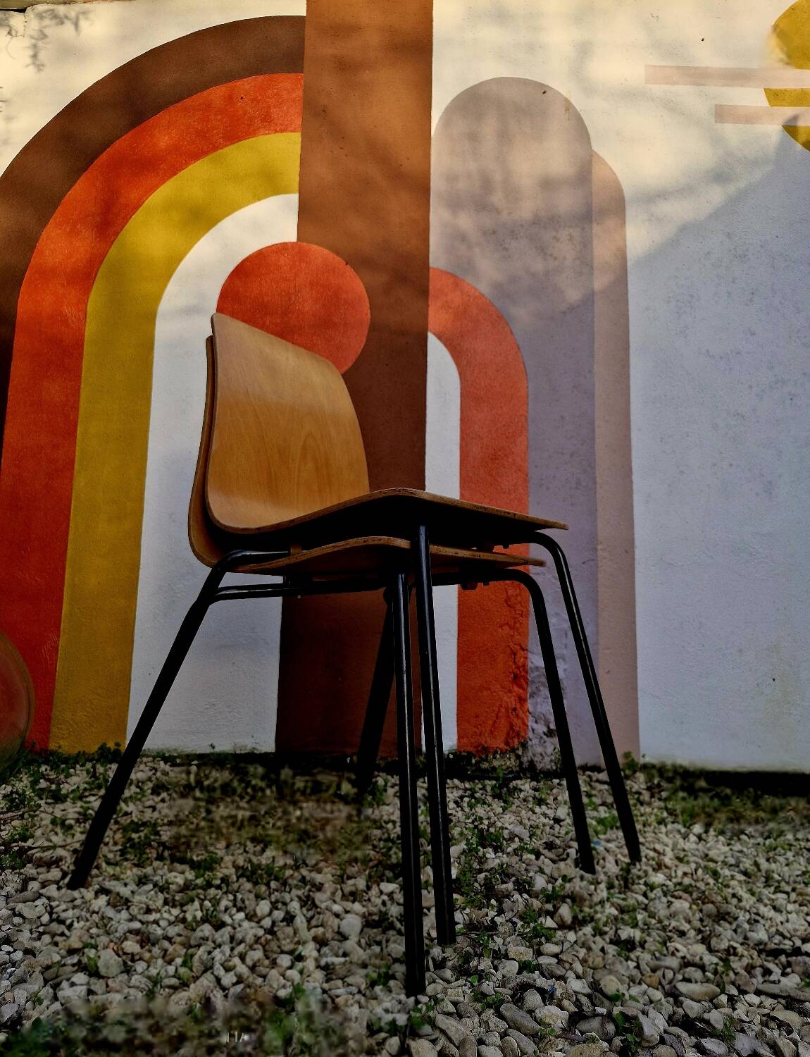 Suite de 6 Chaises Pierre Guariche modèle Papyrus Édition Steiner 1950