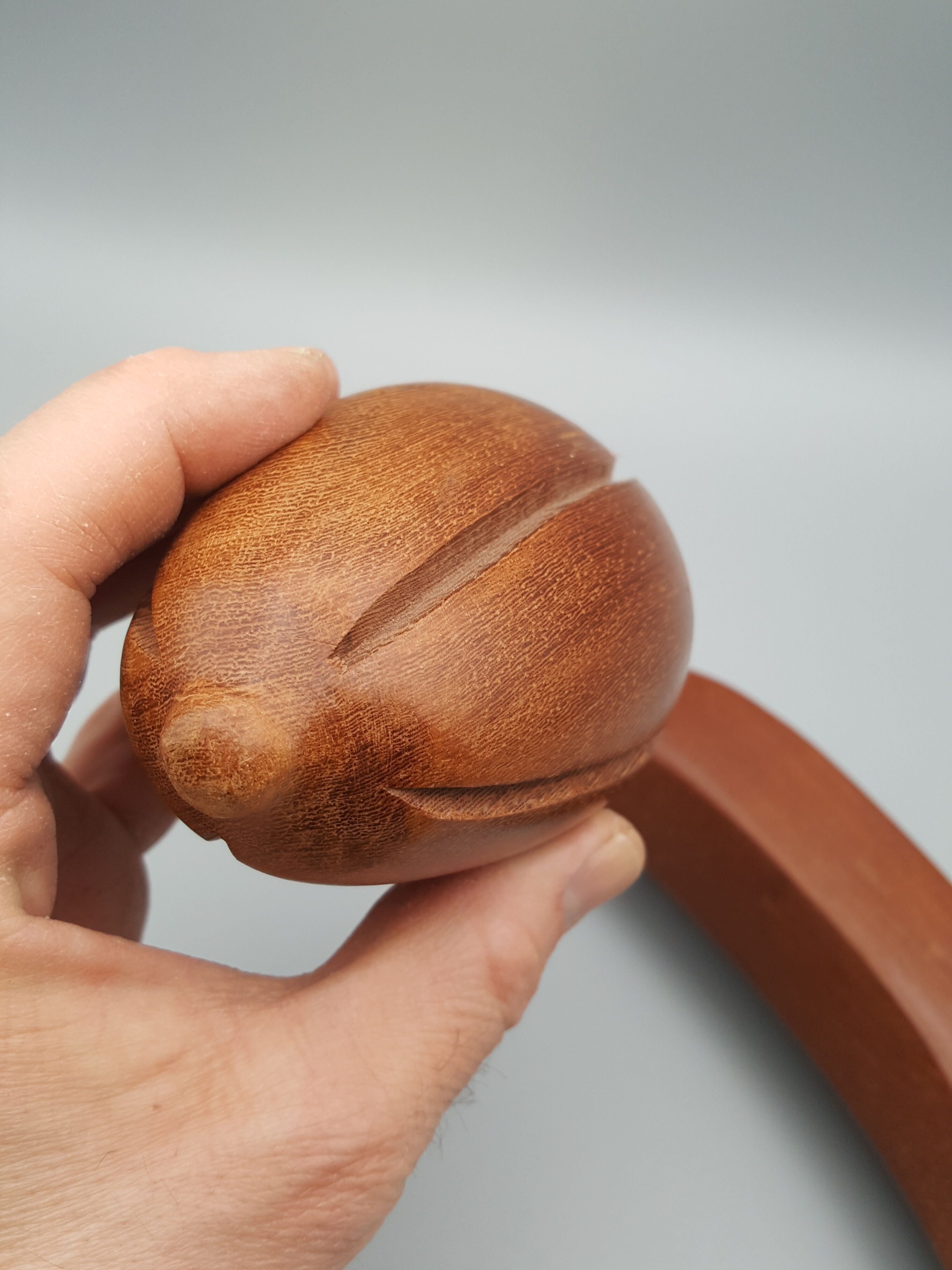 Lot de 4 fruits exotiques en bois déco table cuisine vintage