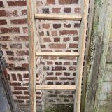 Old tree trunk ladder