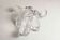 Empty floral pocket crystal of transparent arques signed