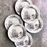 Set of 6 Tunstall flat plates in English Ironstone Amazon pattern circa 1880
