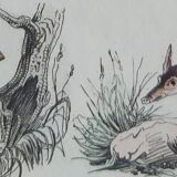 Original zoological plate " little grey of siberia, palmiste,... - buffon 1838