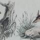 Original zoological plate "Siberian grey heron, palm tree,... - Buffon 1838