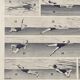 Former illustration Larousse "Swimming"