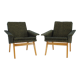 1960s Design Armchairs, Czechoslovakia
