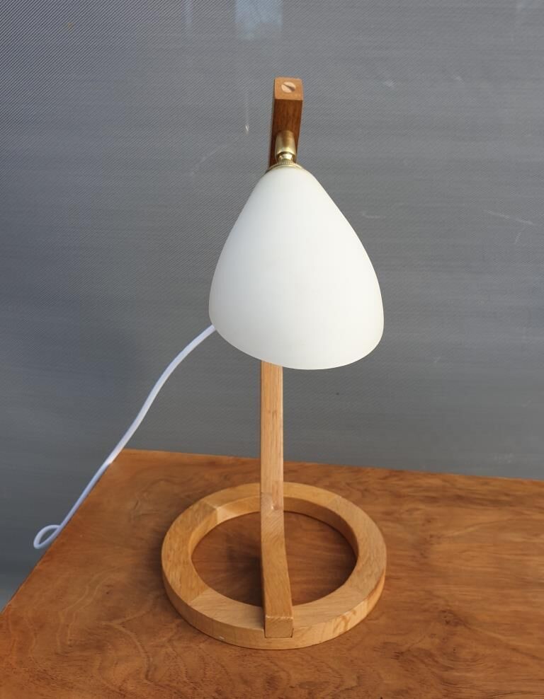 Scandinavian snowdrop design table lamp
