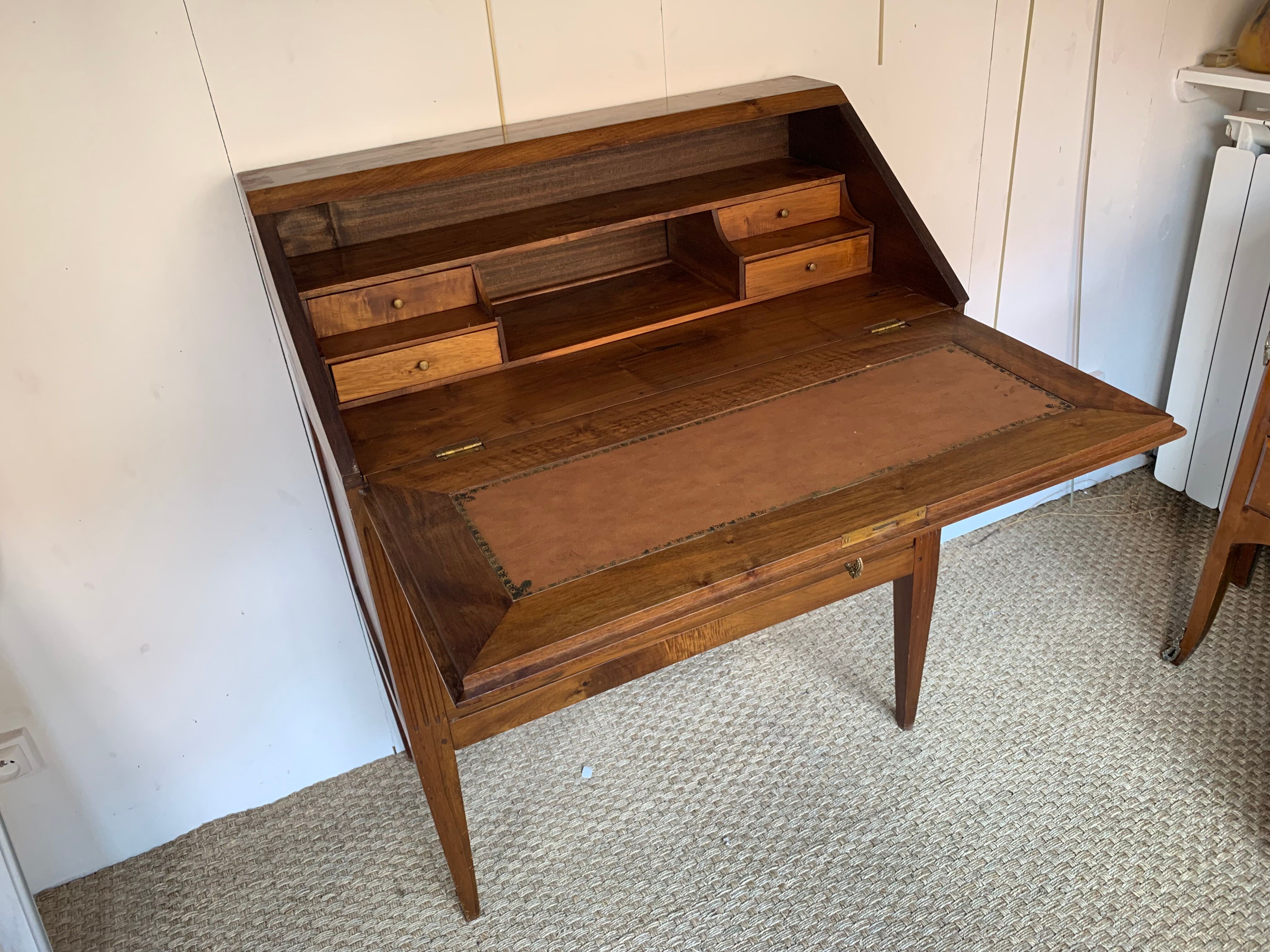 Secretary back d ANE