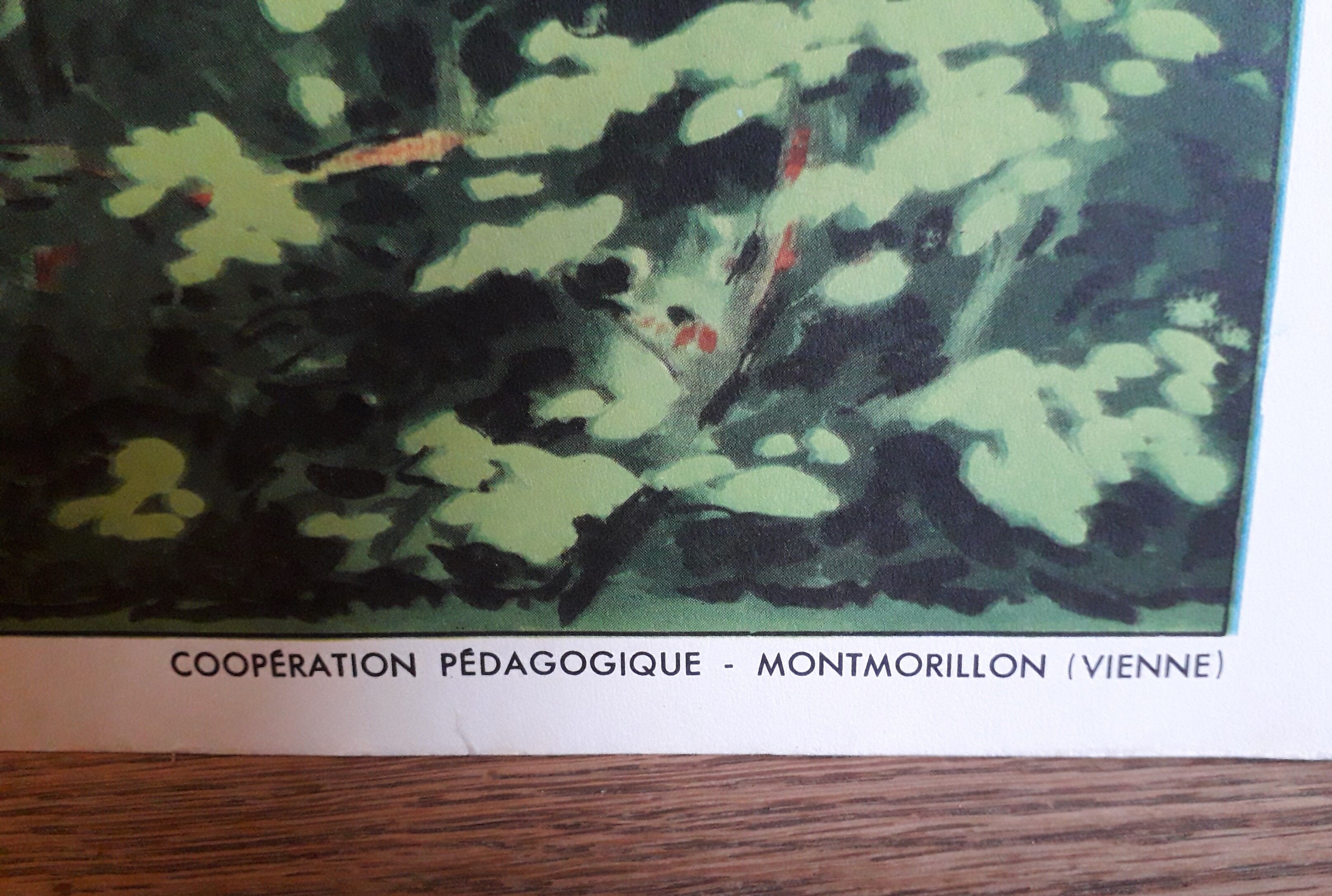 School poster The good weather - summer Raylambert