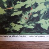 School poster The good weather - summer Raylambert