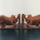 Pair of greenhouse buffalo books