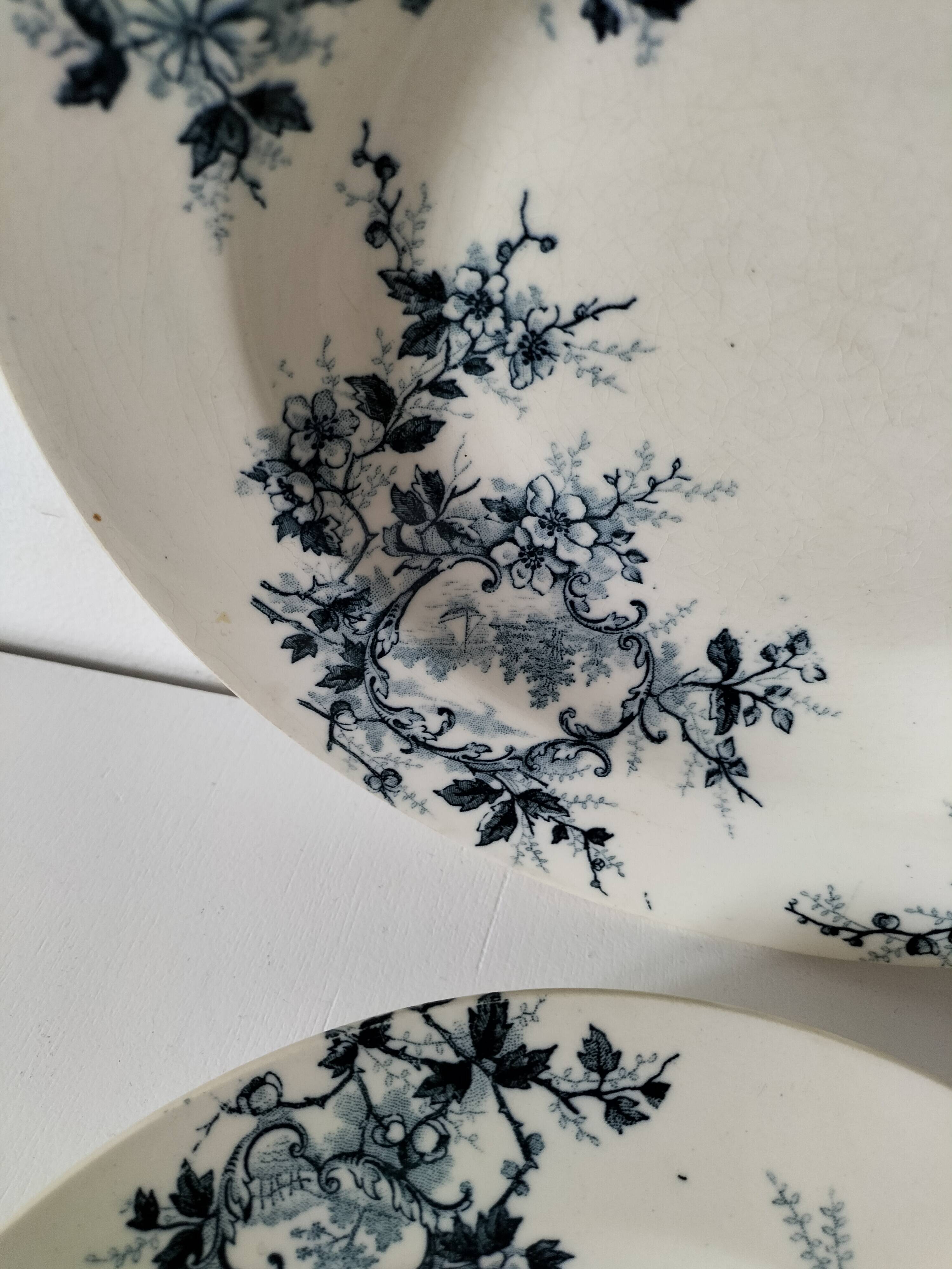 Duo d’assiettes creuses Hte Boulenger & Cie Choisy-le-Roi, circa 1885–1900.