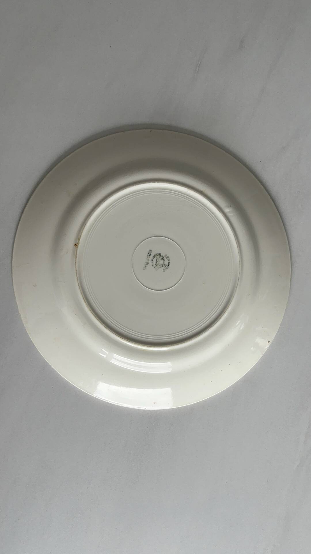 Round plate from the Céranord Saint-Amand service • Red and blue floral decoration