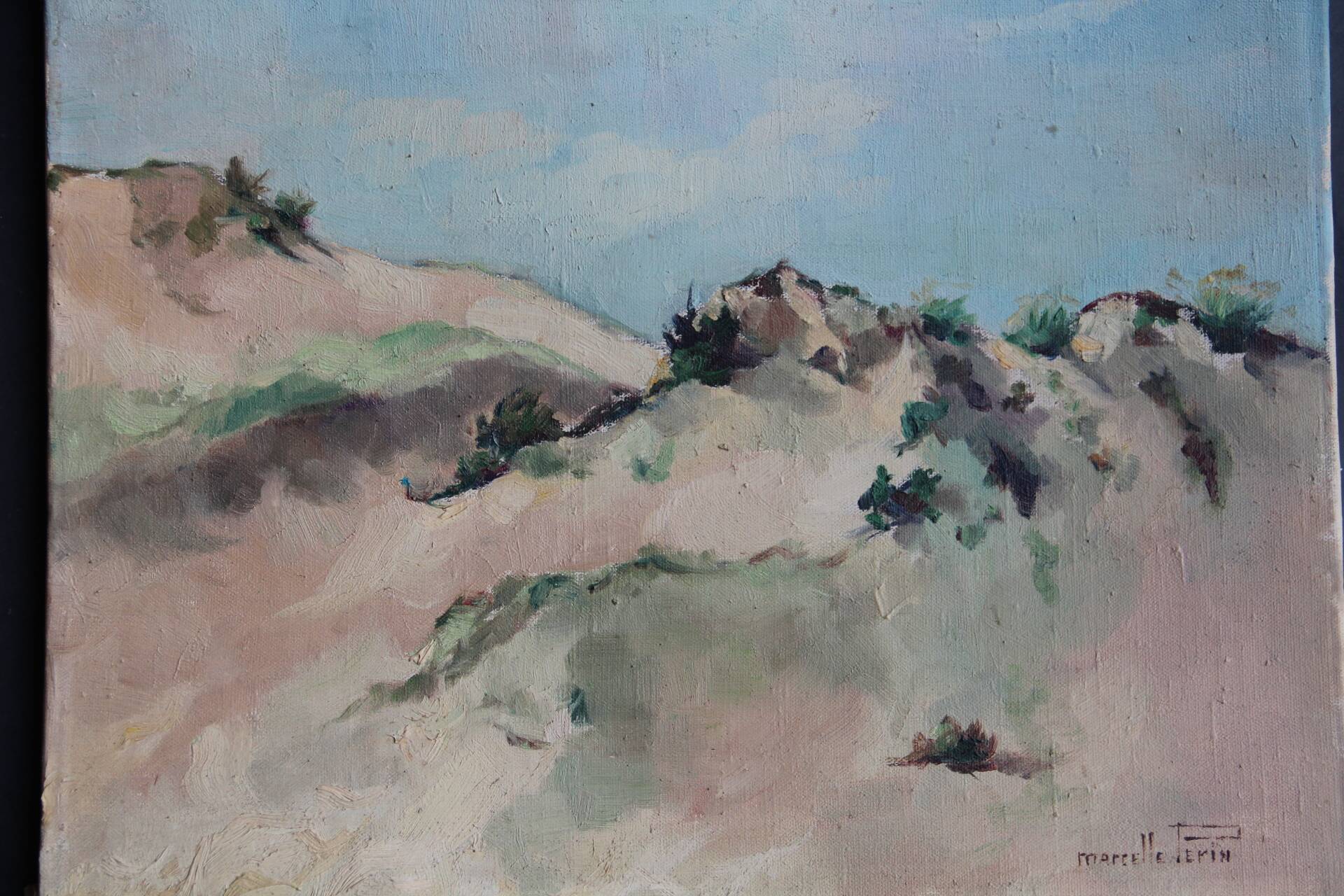 Small oil on canvas "A dune" 40 x 50