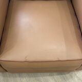 Anciens fauteuils clubs ergy