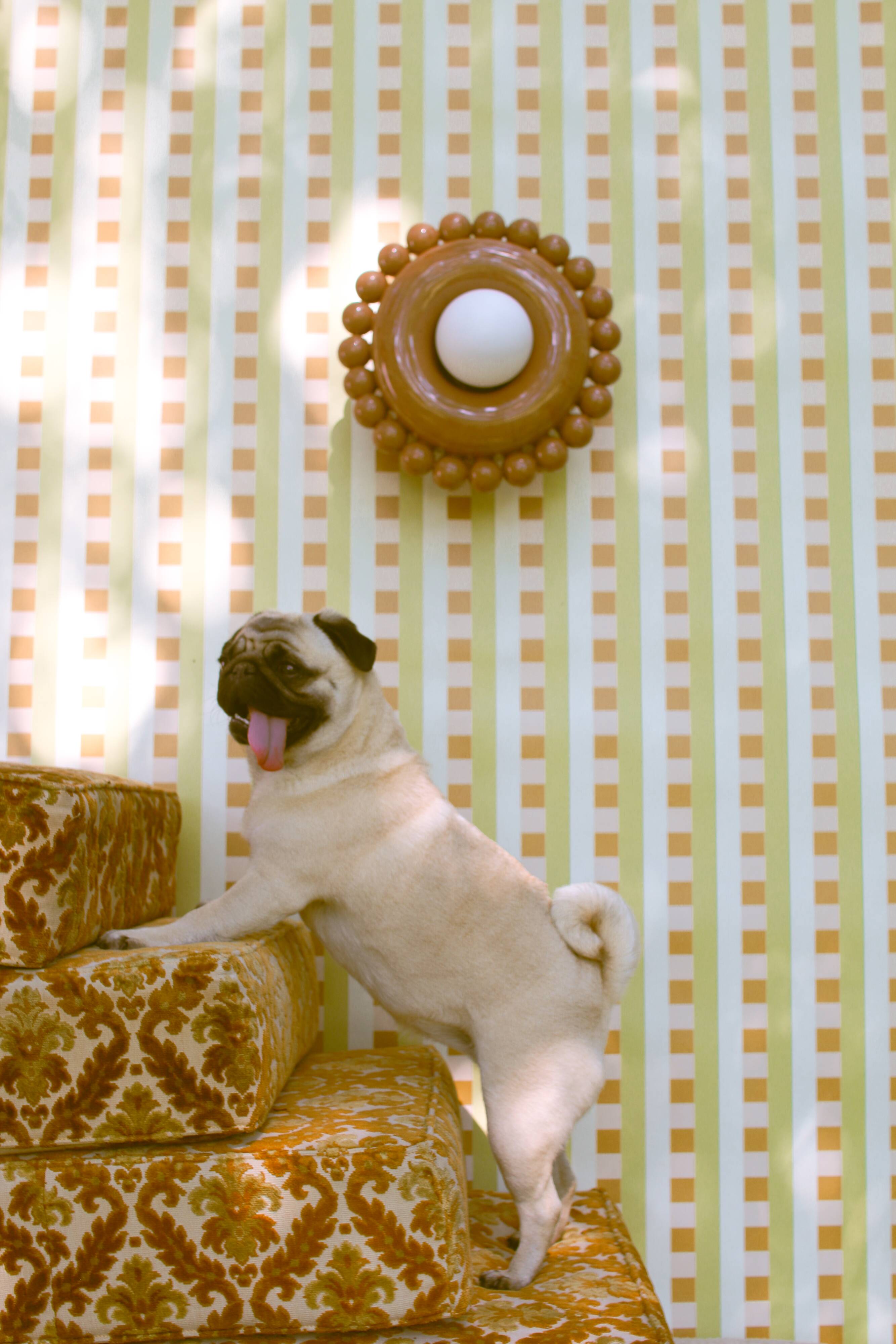 Luna Tall Speculos wall light