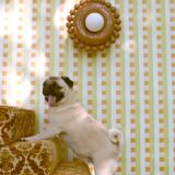 Luna Tall Speculos wall light