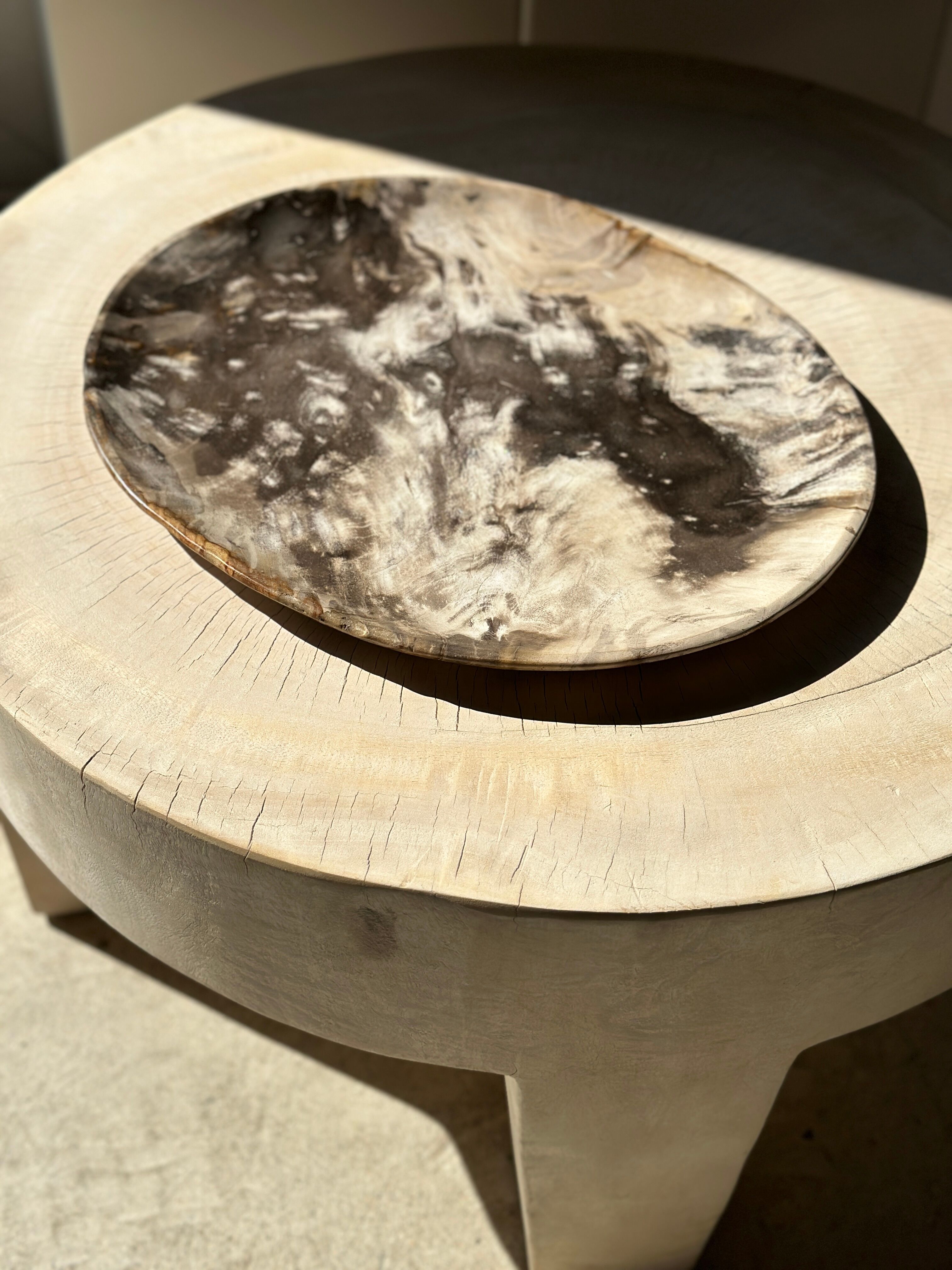 Very large empty pocket or petrified wooden flat