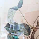 Pair of Botanical Plates 1905 – Peach & Pear – Poiteau