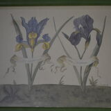 Framed botanical board