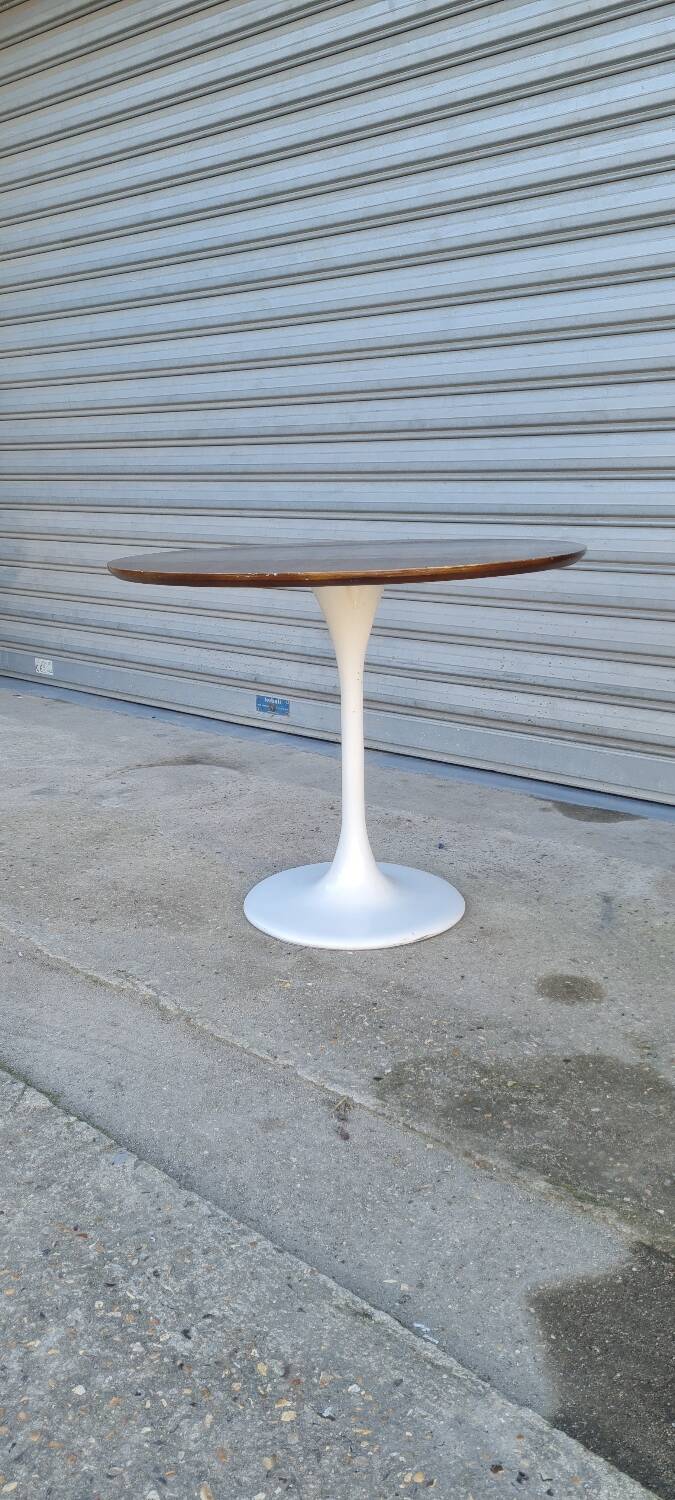 Tulip table 1980