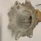 Murano Glass Brass Sconces Set of 2