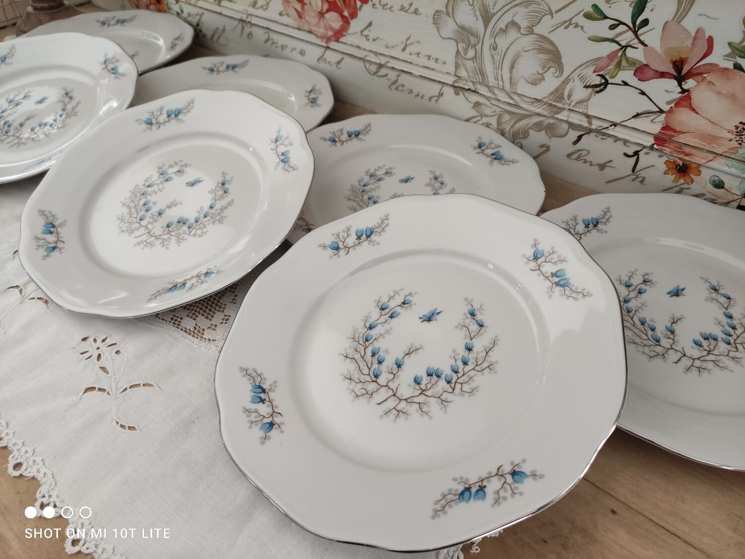 Lot de 7 assiettes plates en porcelaine Czecoslovakia modèle Bohemia