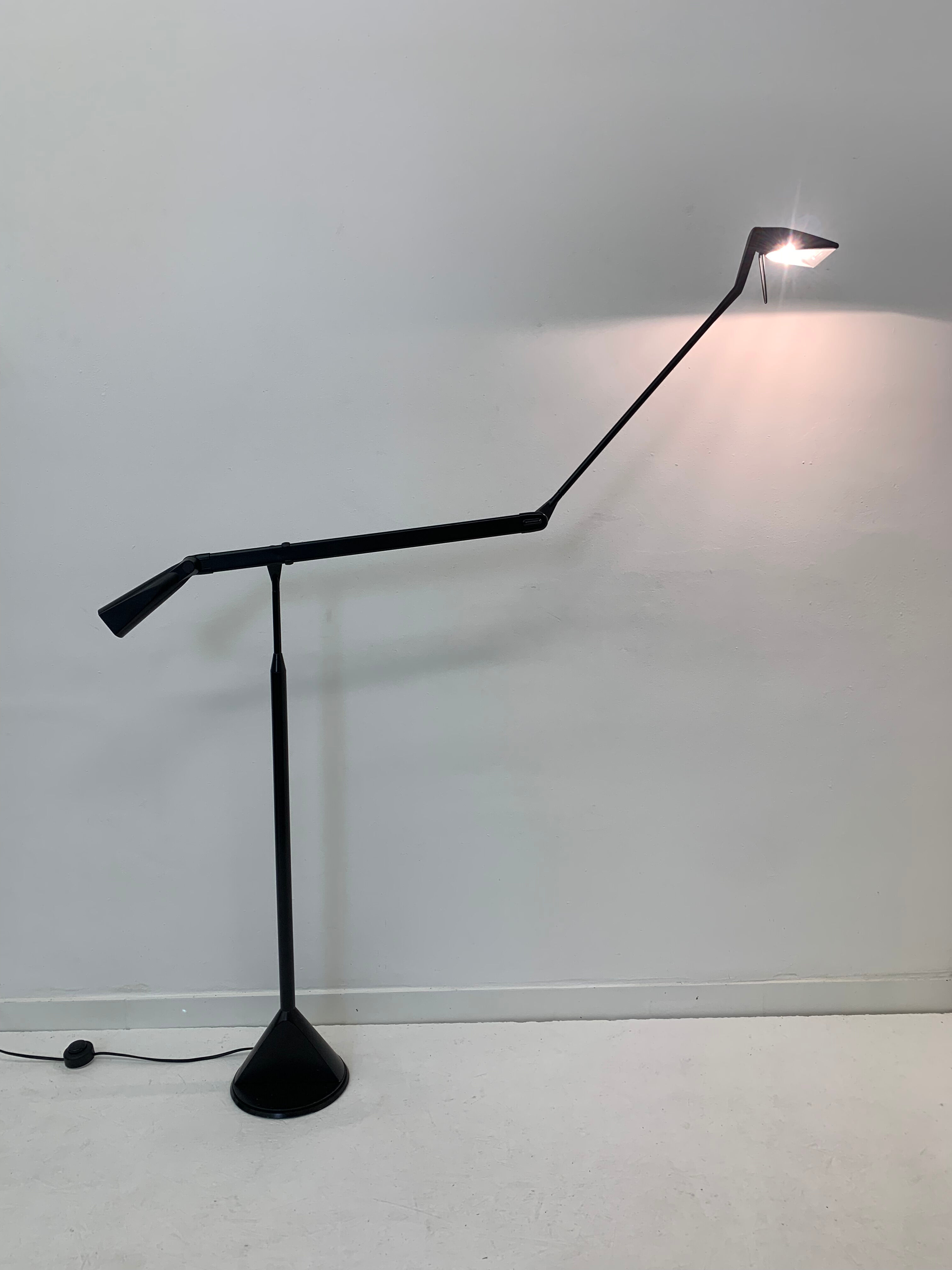 Zelig Terra Floor Lamp by Walter Monici for Lumina, 1980s