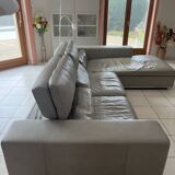 Roche Bobois sofa