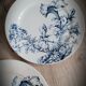 6 plates petunia bfk