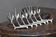 Oryx knife holder