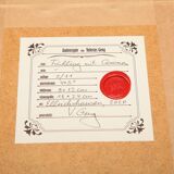 Photography Ambrotype Spring Corona Geng Valerius