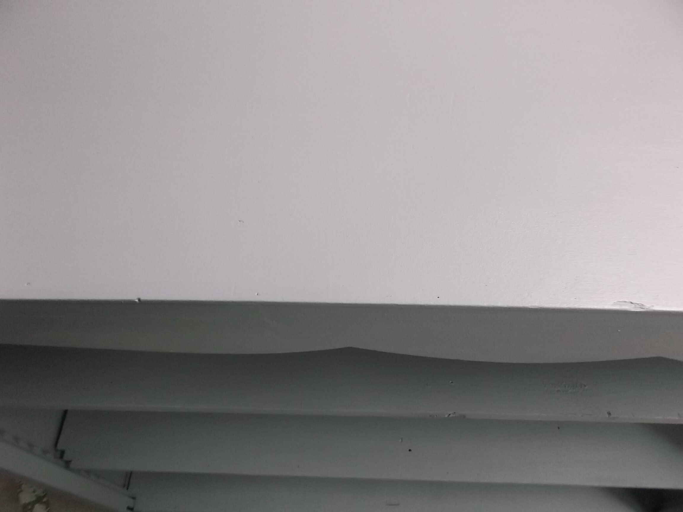 Bibus, library, old, vintage