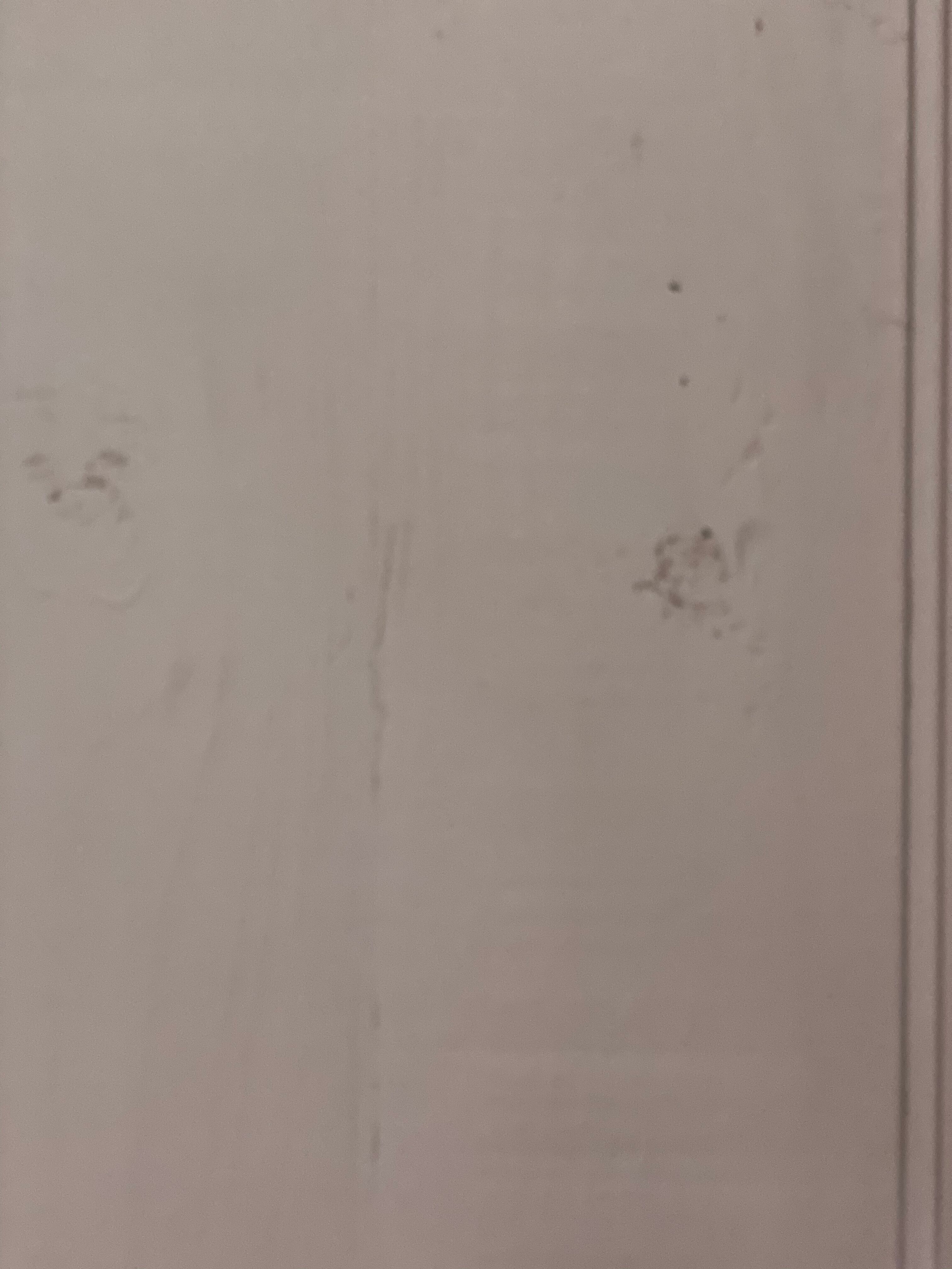 Old pink Parisian wardrobe