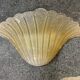 Pair of Murano glass wall lights
