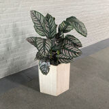 Travertine hexagon planter