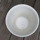 Flower pot "palm" ceramic Bassano Italy 60 70 years