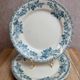 Set of 3 flat plates in ironstone Debray – Guadeloupe Service