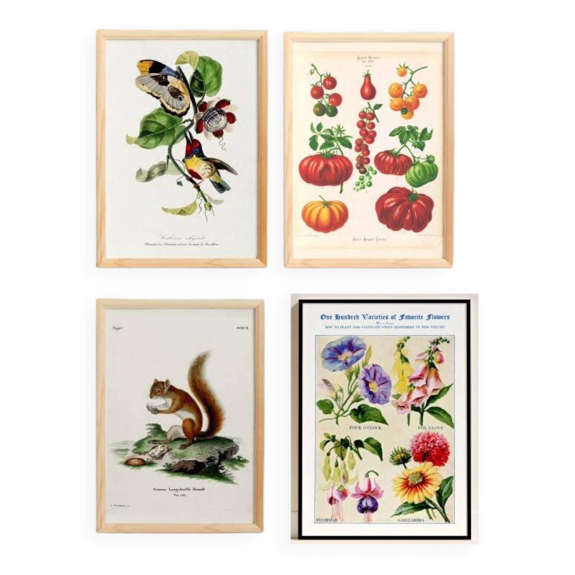 Set of 4 reserved posters