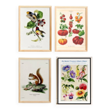 Set of 4 reserved posters