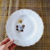 6 Assiettes Creuses Porcelaine Française Sarreguemines Fleurs Marron