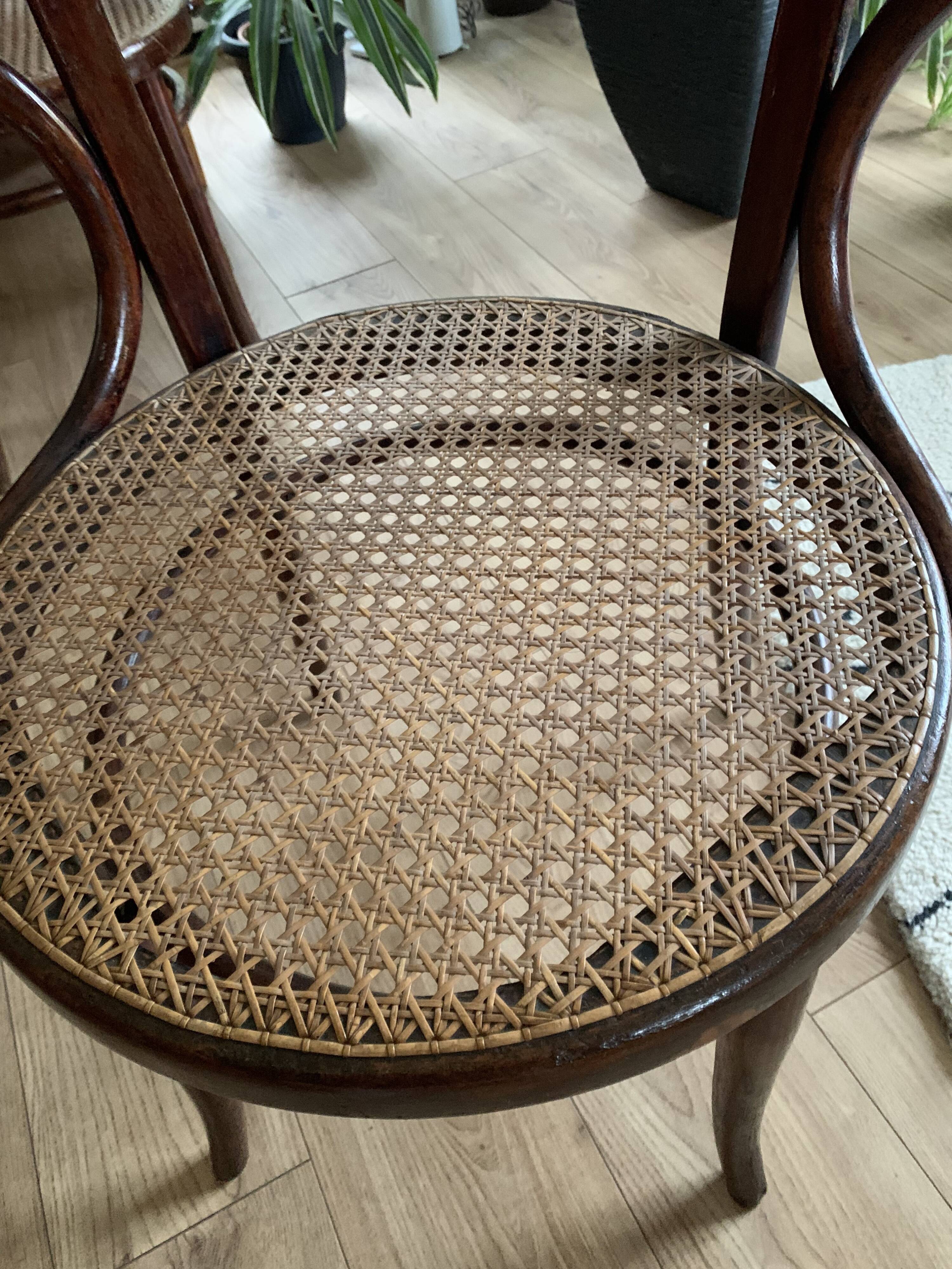 Paire de fauteuils cannés en bois courbe signés Thonet