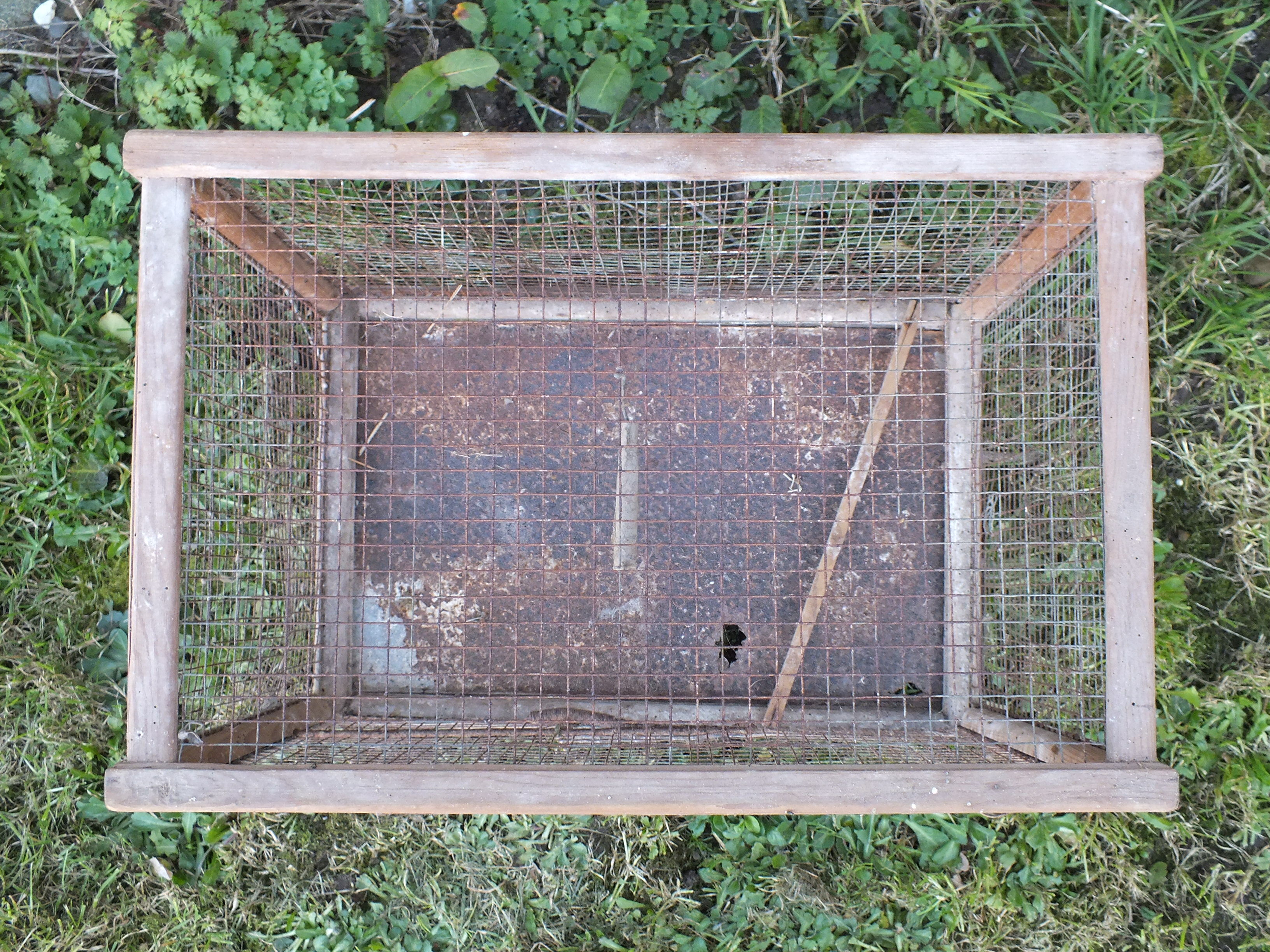 Former wooden and metal bird cage