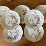 Hand-painted dessert plates