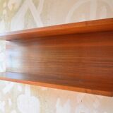 Vintage teak shelf designed by W.Wirz for Wilhelm Renz Germany of the 60s
