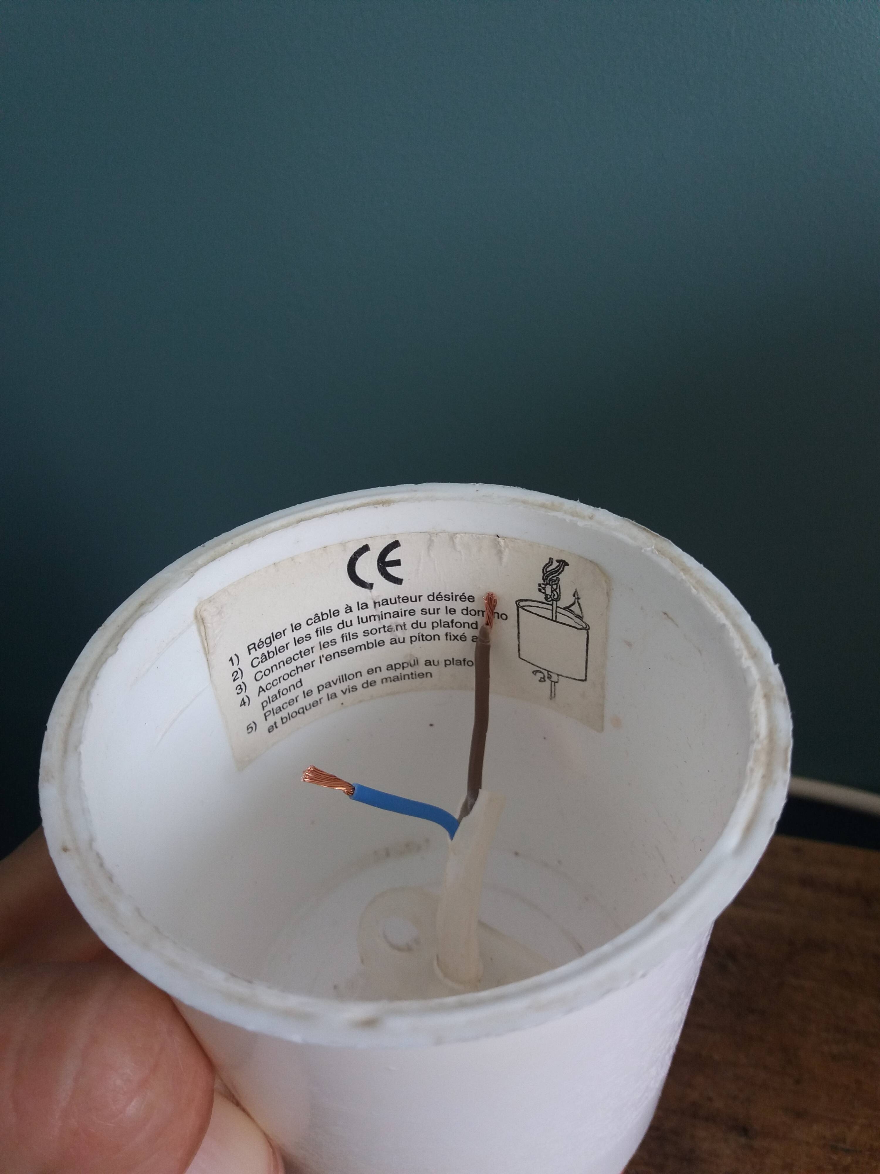 Pendant lamp with glass shade