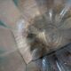 Saladier coupelles Indiana glass Lotus