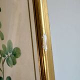 Old frame pink yellow Dreaded