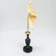 Starfish on a turned wooden base, late 19th century - cabinet of curiosities