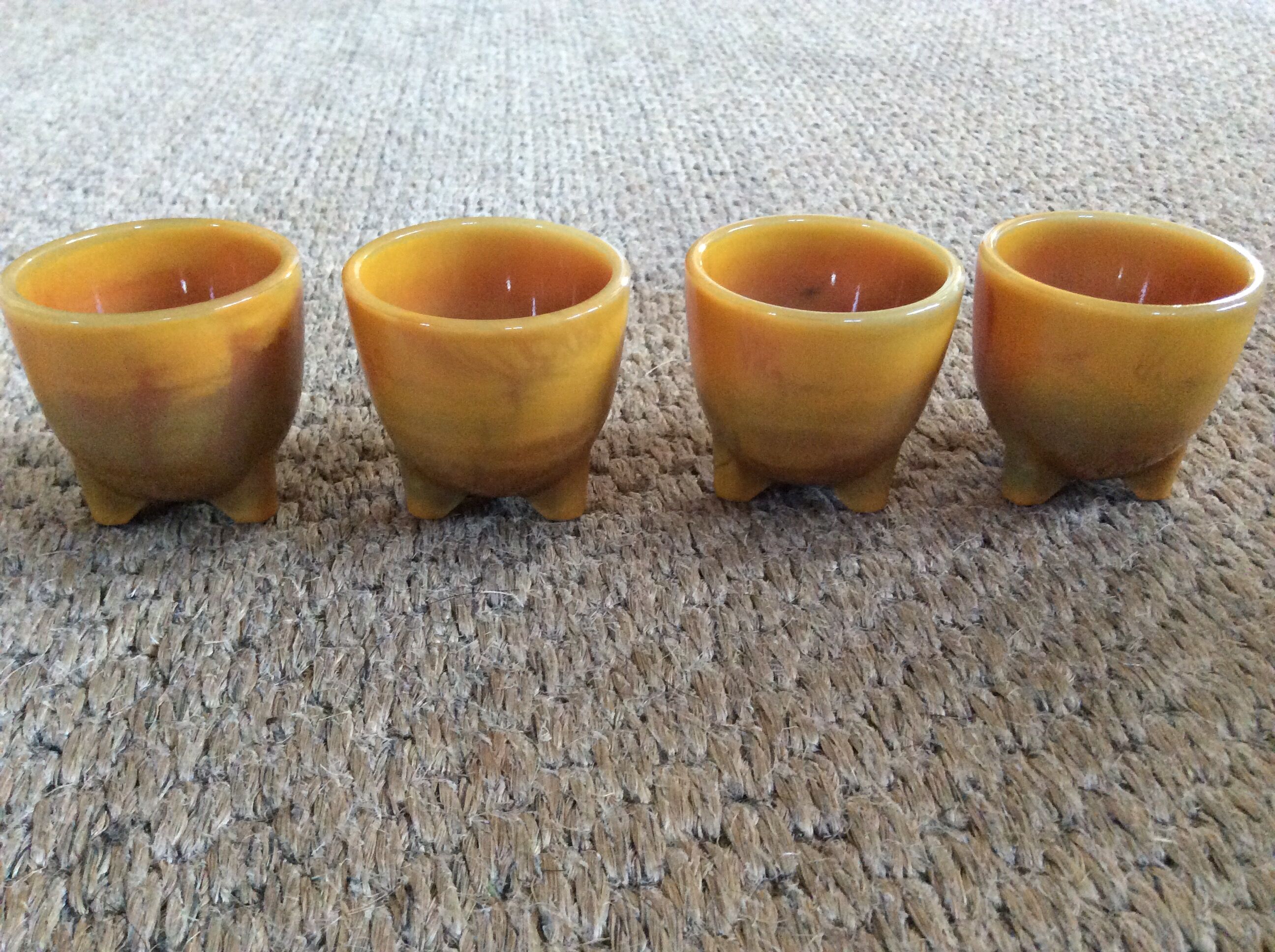 Series of 4 cockroaches